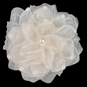 photo_6111391227443265918_y