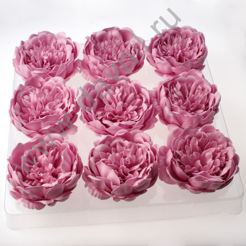 /tmp/v8_Lr0IIr_176e.А2-5-2-28