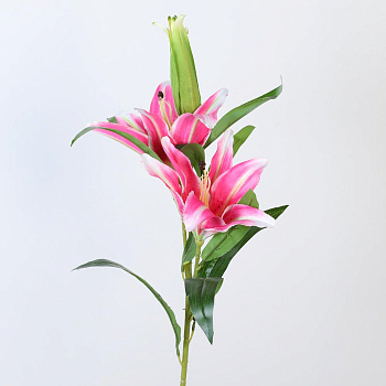 /tmp/v8_Lr0IIr_7c87.А1-64 ярко розовый