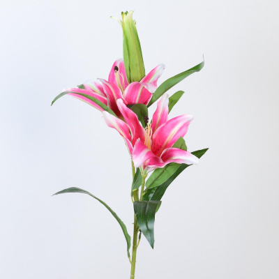 /tmp/v8_Lr0IIr_7c87.А1-64 ярко розовый