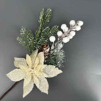 photo_6165874154612132975_y