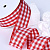 1-1/2"(38mm)Gingham Ribbon A313