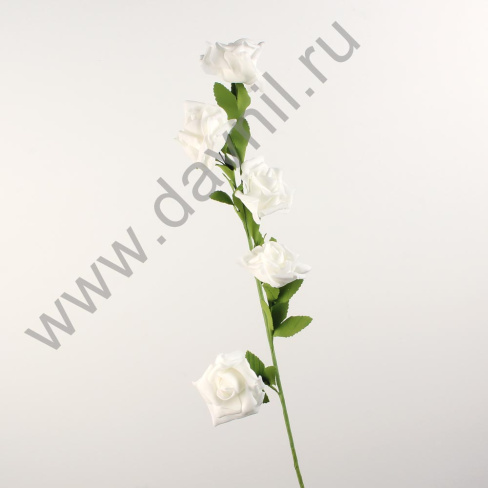 /tmp/v8_Lr0IIr_3f90.IMG_0033