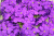 /tmp/v8_Lr0IIr_175d.IMG_1968