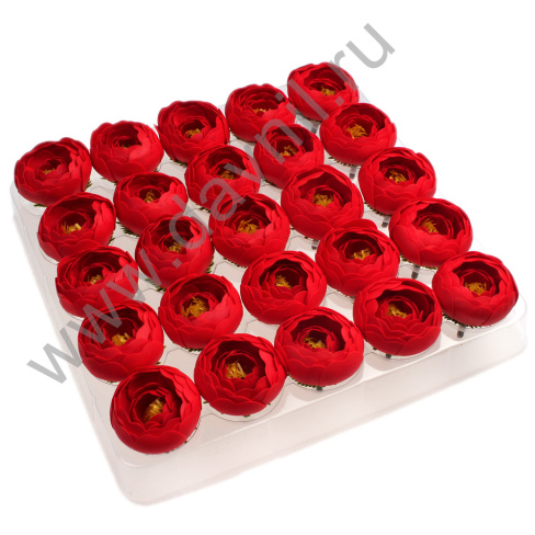 /tmp/v8_Lr0IIr_3cb6.А2-13-11