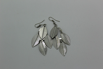 /tmp/v8_Lr0IIr_a341.IMG_1406