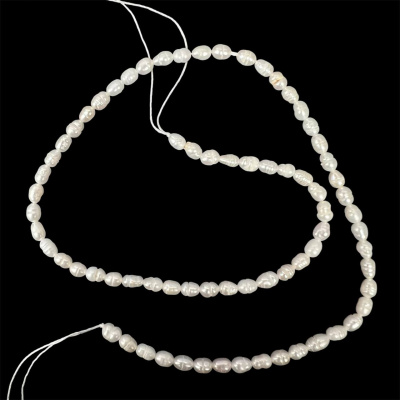 54295970-3baa-490c-90f7-50c76fb6b300