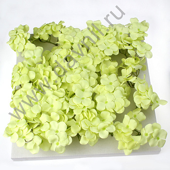 /tmp/v8_Lr0IIr_1754.А2-12-5