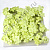 Гортензия из мыльной пены 25 шт. салатовая 5