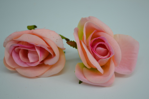 /tmp/v8_Lr0IIr_7622.DSC_0006