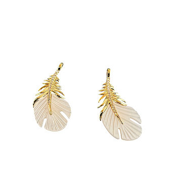 Photoroom_20260402_094739