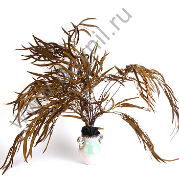 /tmp/v8_Lr0IIr_441b.А20-13 хаки