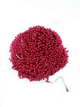 /tmp/v8_Lr0IIr_1b04.photo1697970747 (4)