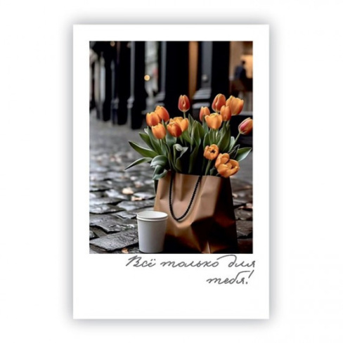 FKM-00072-550x550