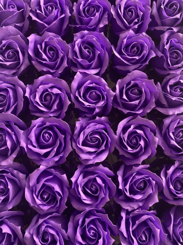 /tmp/v8_Lr0IIr_3e82.WhatsApp Image 2021-03-05 at 13.54.27