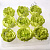Пион из мыльной пены 9 шт. салатовый 22