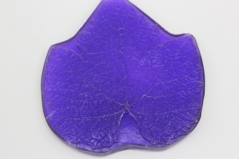 /tmp/v8_Lr0IIr_7a32.IMG_2133