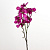 Цветок альтера 70 см 1 шт. фиолетовый