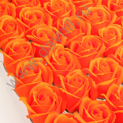 /tmp/v8_Lr0IIr_4d8f.IMG_8641