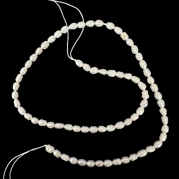 54295970-3baa-490c-90f7-50c76fb6b300