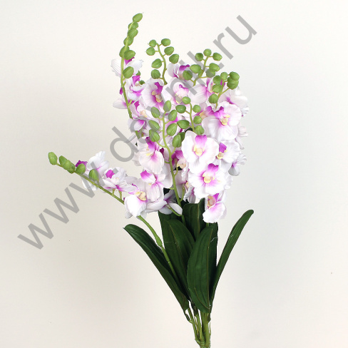 /tmp/v8_Lr0IIr_37b2.А1-35