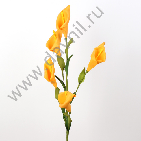 /tmp/v8_Lr0IIr_39ce.IMG_0146