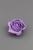 /tmp/v8_Lr0IIr_7561.d0a52255-2280-4447-9cd9-edbf5ee3d5e8 /tmp/v8_Lr0IIr_7561.d0a52255-2280-4447-9cd9-edbf5ee3d5e8