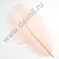 Страусиные перья 10-15 см
