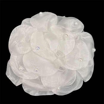 photo_6113975230092397302_y