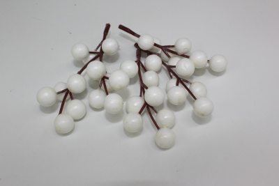 /tmp/v8_Lr0IIr_9925.IMG_3312