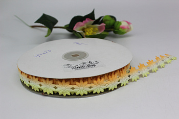 /tmp/v8_Lr0IIr_51e6.IMG_3134