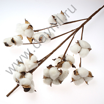 /tmp/v8_Lr0IIr_2f38.К92-42