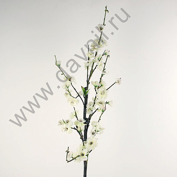 /tmp/v8_Lr0IIr_3fda.А1-12