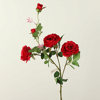 /tmp/v8_Lr0IIr_7dbb.А1-45 красный