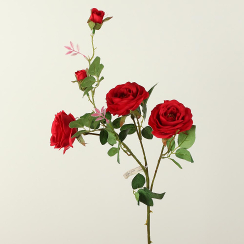 /tmp/v8_Lr0IIr_7dbb.А1-45 красный