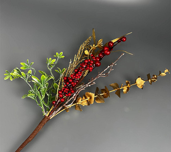 photo_6165874154612132963_y