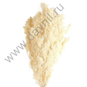 /tmp/v8_Lr0IIr_441a.А20-1-24 белый