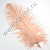 Страусиное перо 25-30 см пенка 21