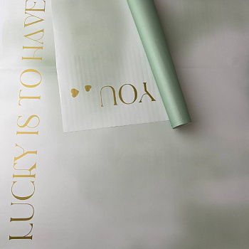 d4809262-372c-4542-a9f6-a887c4d25e56