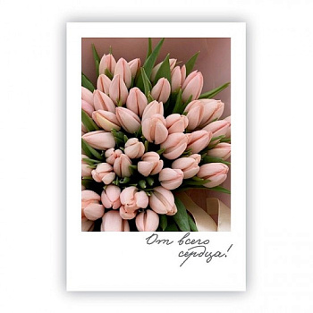 FKM-00075-550x550
