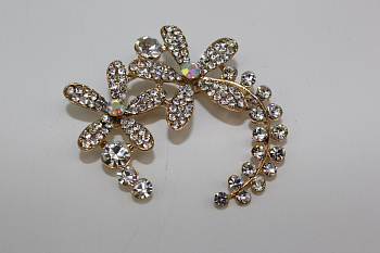 /tmp/v8_Lr0IIr_6f90.IMG_2460