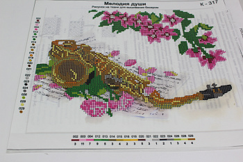 /tmp/v8_Lr0IIr_aa4d.IMG_3072