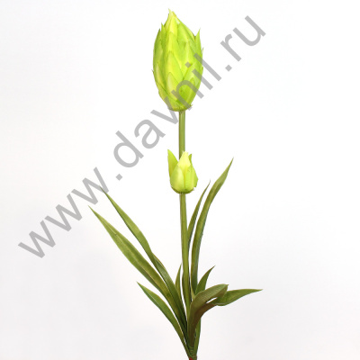 /tmp/v8_Lr0IIr_39fc.А1-82