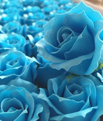 /tmp/v8_Lr0IIr_3e8a.WhatsApp Image 2021-03-05 at 14.21.39