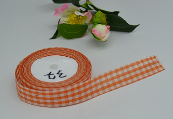 /tmp/v8_Lr0IIr_300d.DSC_0004