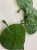 /tmp/v8_Lr0IIr_3e5e.WhatsApp Image 2021-03-06 at 08.21.52