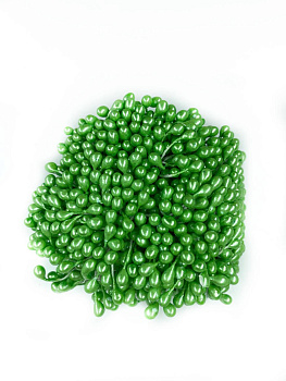 v8_Lr0IIr_1ae9.photo1697970763 (3)