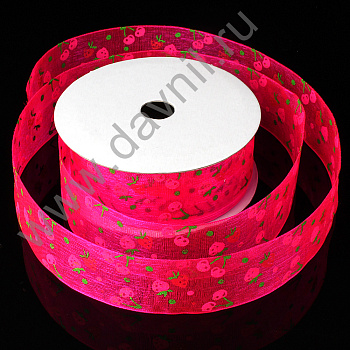 /tmp/v8_Lr0IIr_1540.К57-253 вишня фуксия