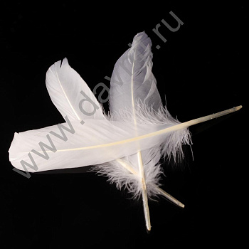 /tmp/v8_Lr0IIr_4100.К159-3