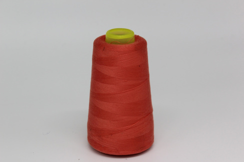 /tmp/v8_Lr0IIr_6593.IMG_2719